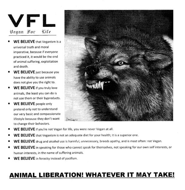 VFL flyer
